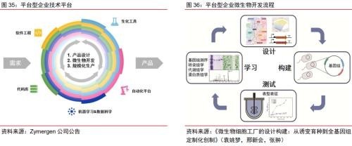 合成生物乘勢而起 顛覆傳統引領未來，軟件開發助力行業龍頭迎戴維斯雙擊